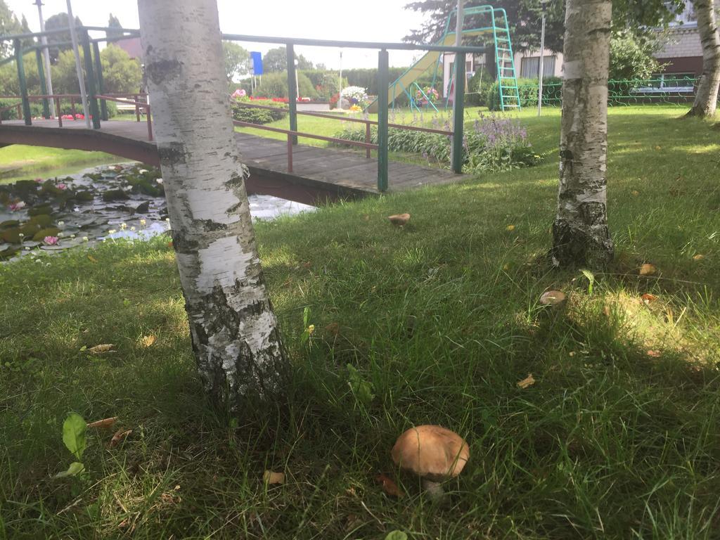 Airovita Kambariai Nakvynei Kretinga Kültér fotó